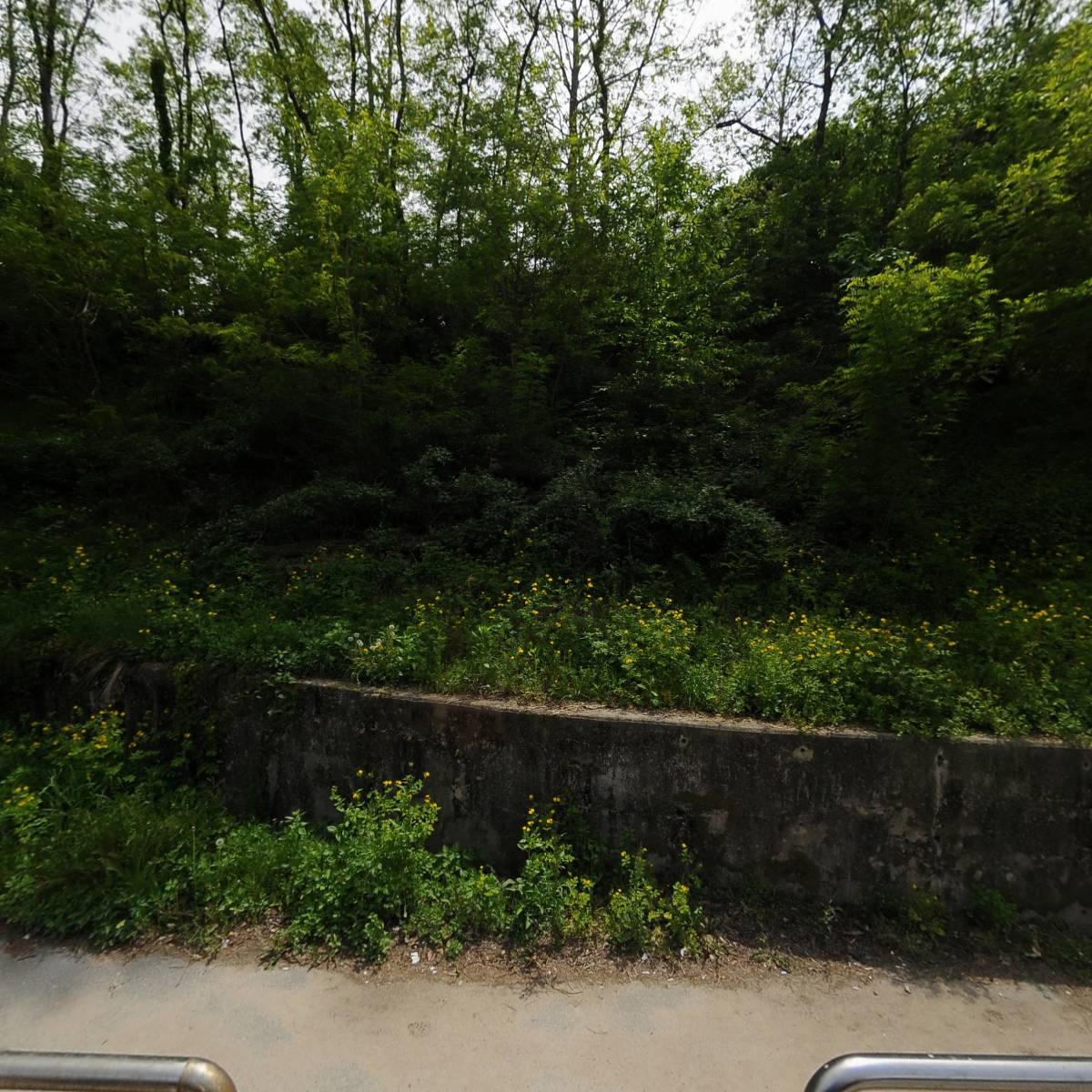 리플모아