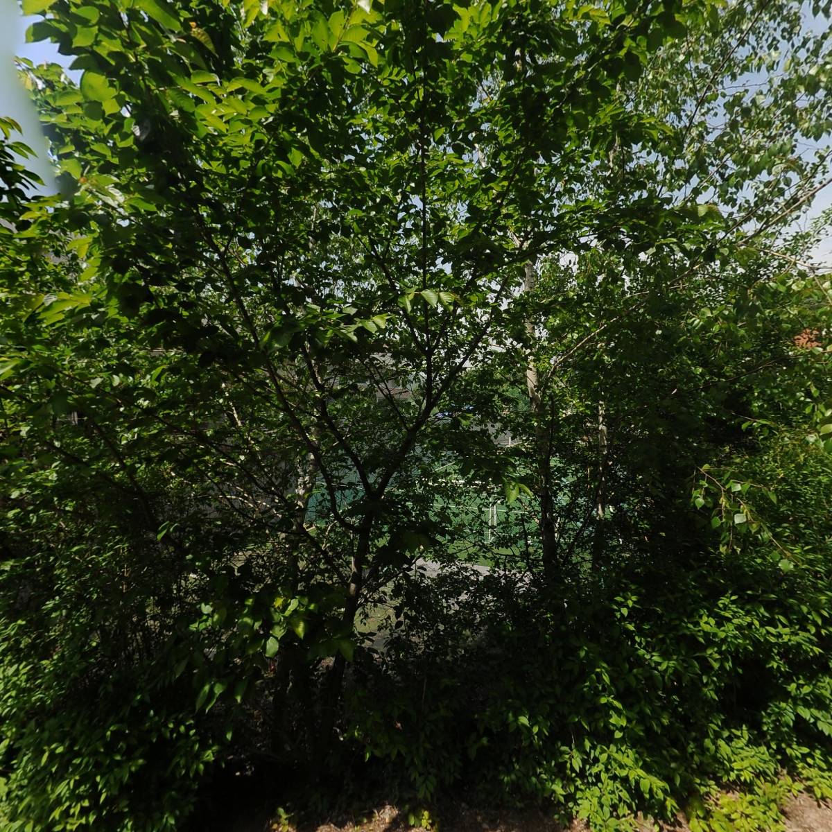 호텔꼬뮨더서종점