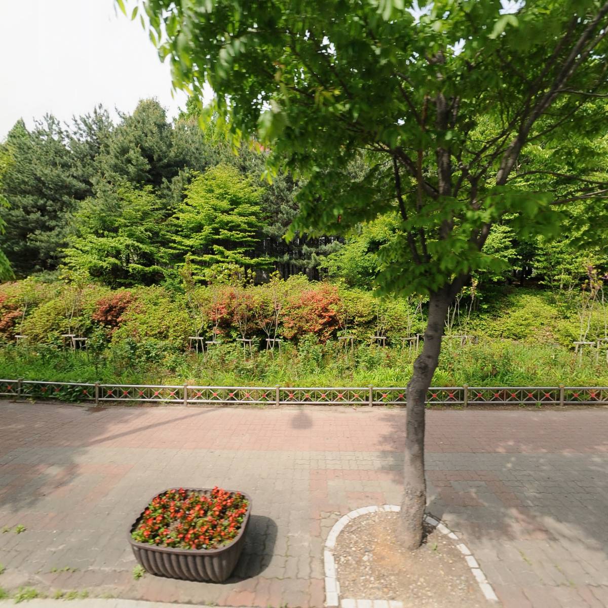 주식회사 위드스토리