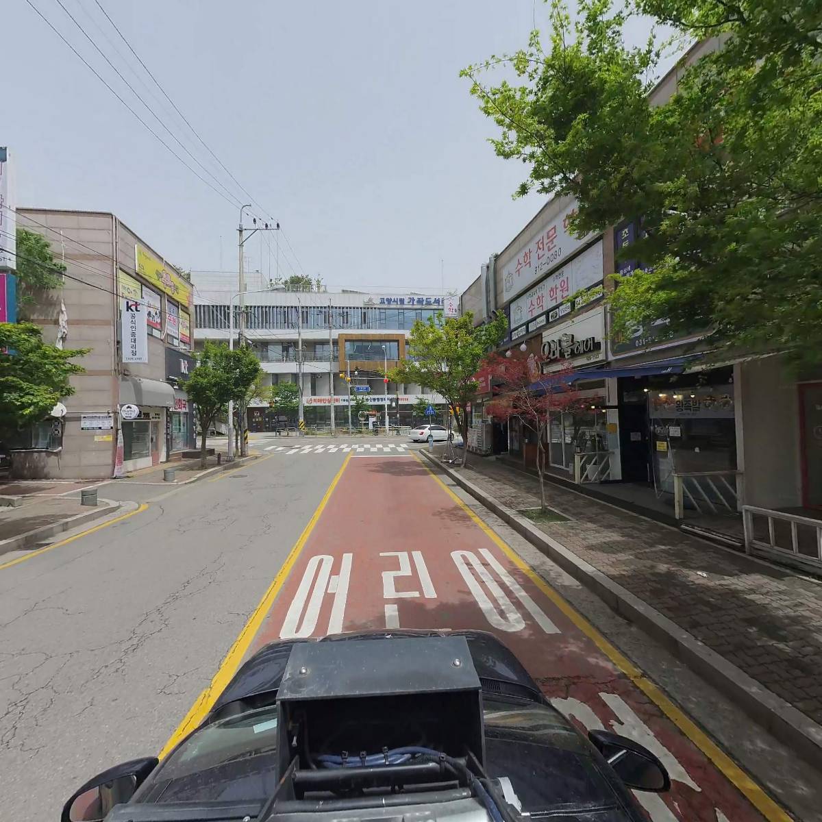 도토리_4