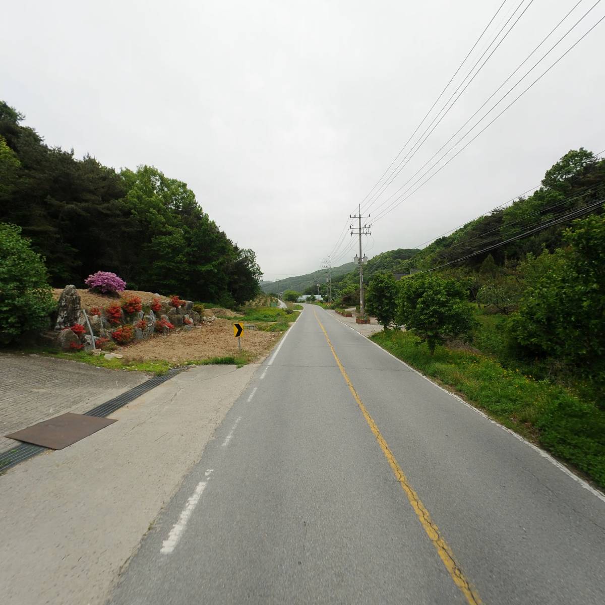 진영축산_2