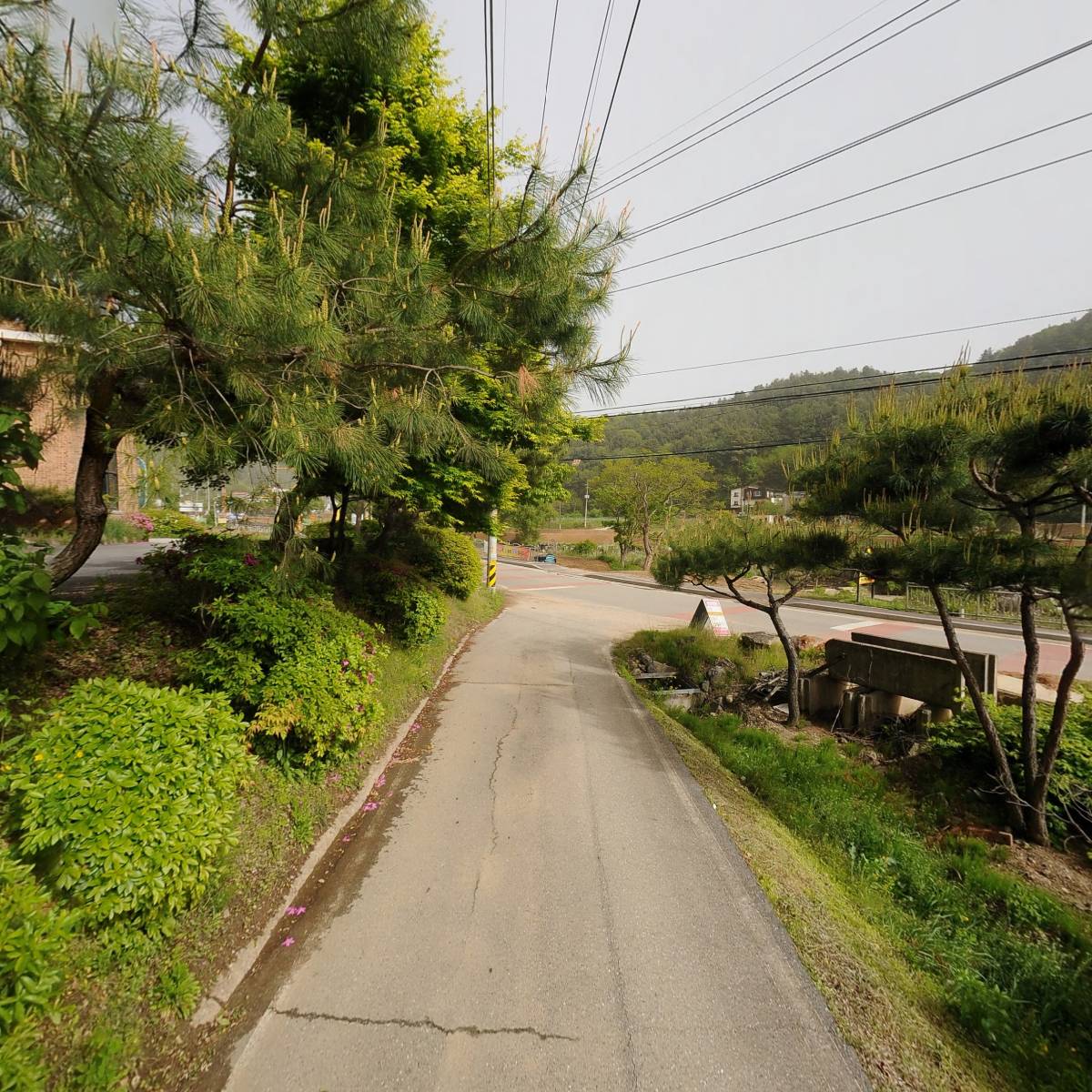 대한예수교장로회 정배교회_2