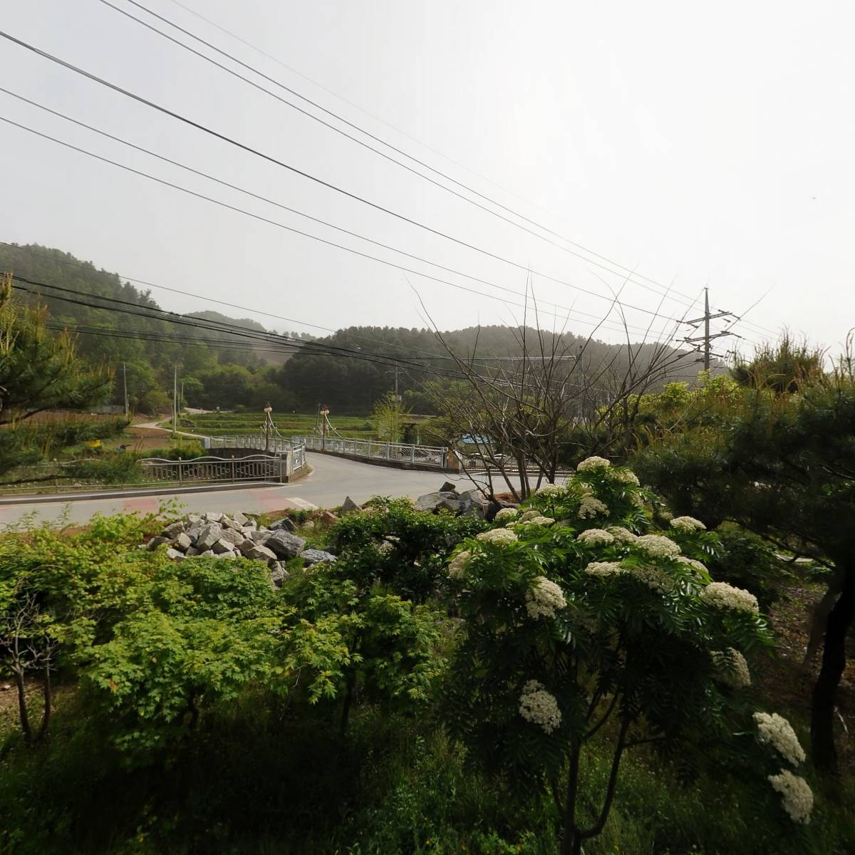 대한예수교장로회 정배교회_3