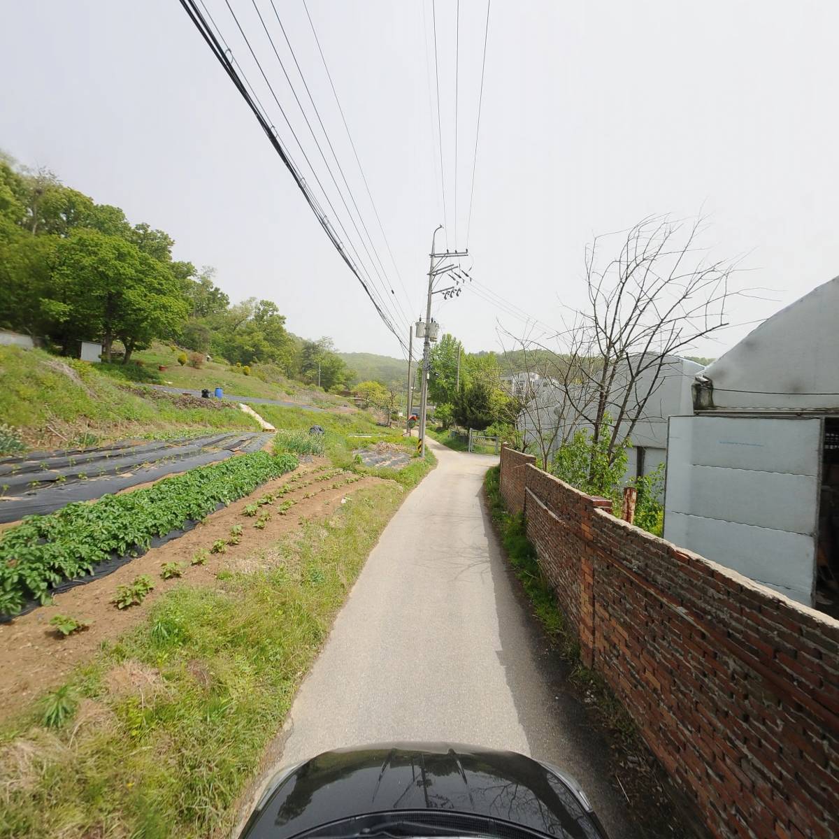 제주 삼다수<과천의왕>대리점_4