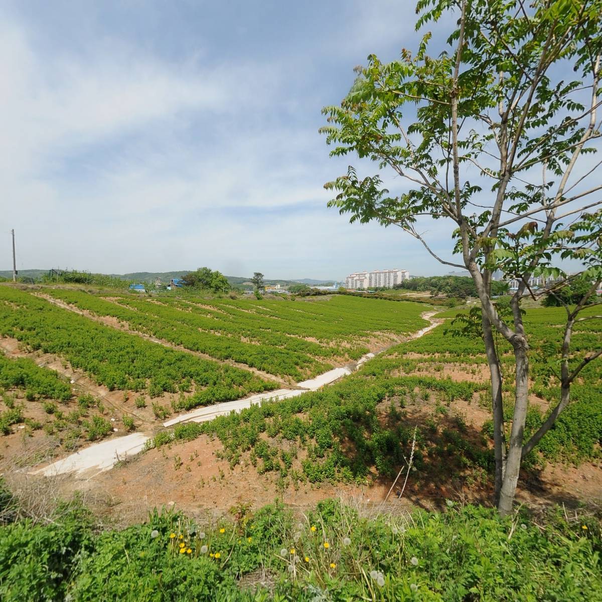 주식회사삼우이엔지_3