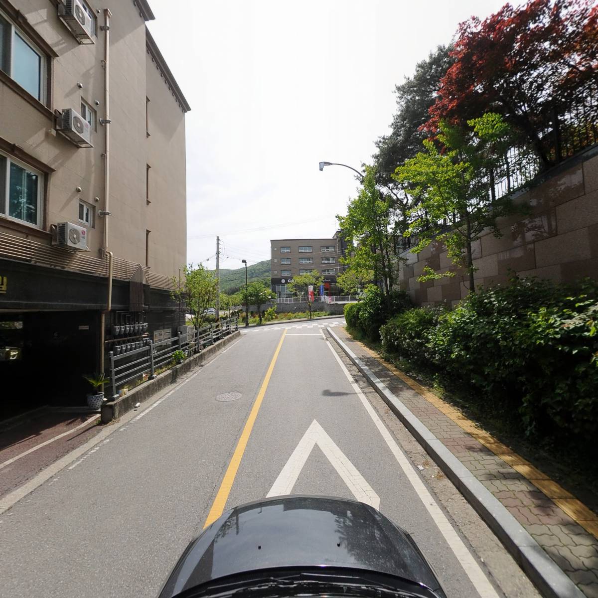 (AVENUE)에비뉴 546_4