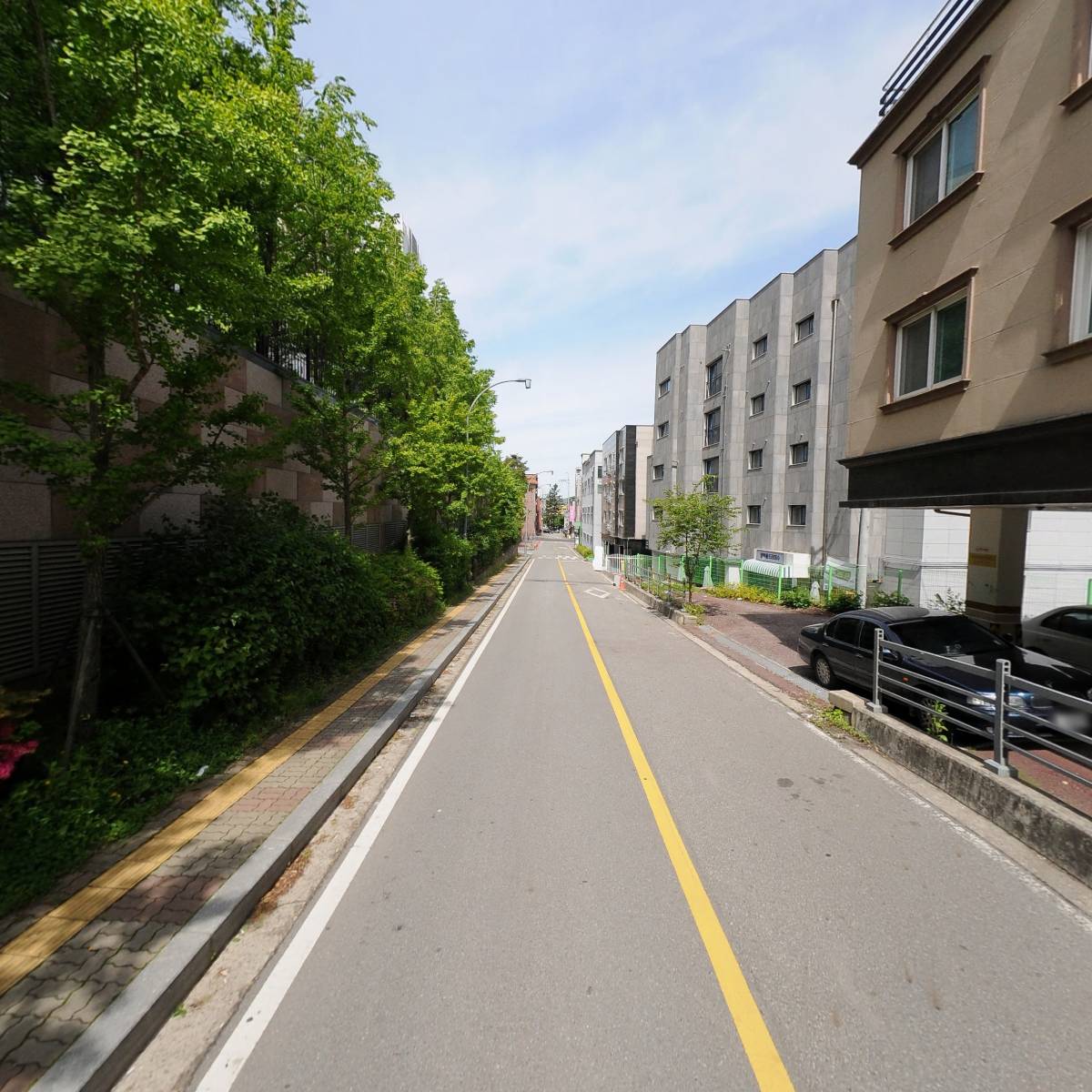 (AVENUE)에비뉴 546_2