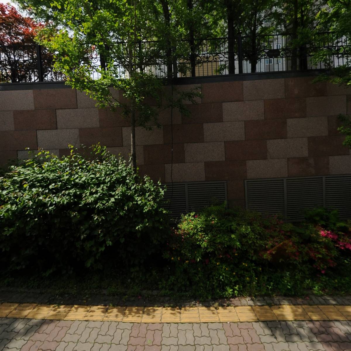 (AVENUE)에비뉴 546