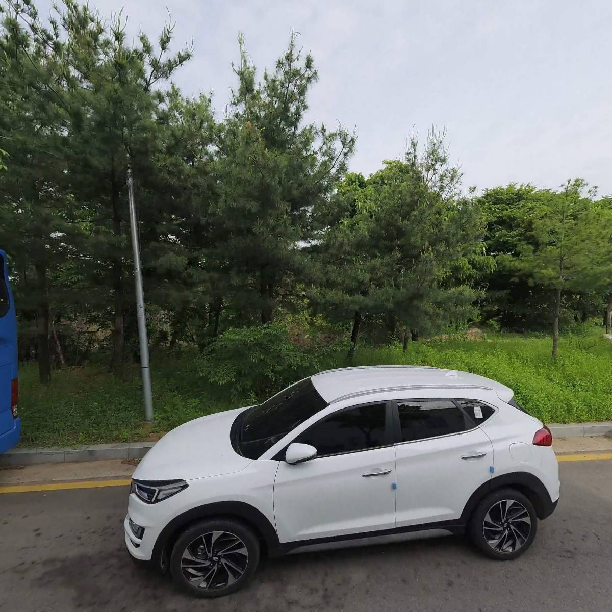 일산서부경찰서 모범운전자회