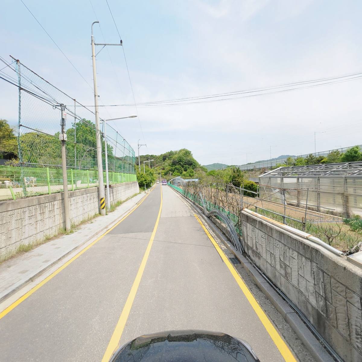 사리_4