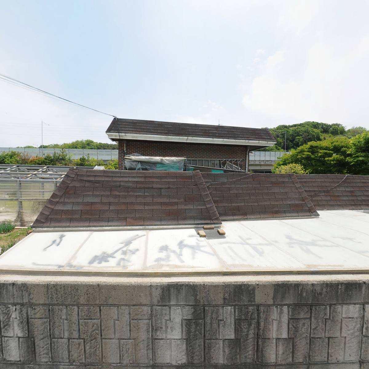 사리