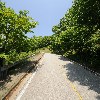 아세아연합신학대학교 39대 재정국(하봄)_2