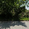 아세아연합신학대학교 39대 재정국(하봄)_3