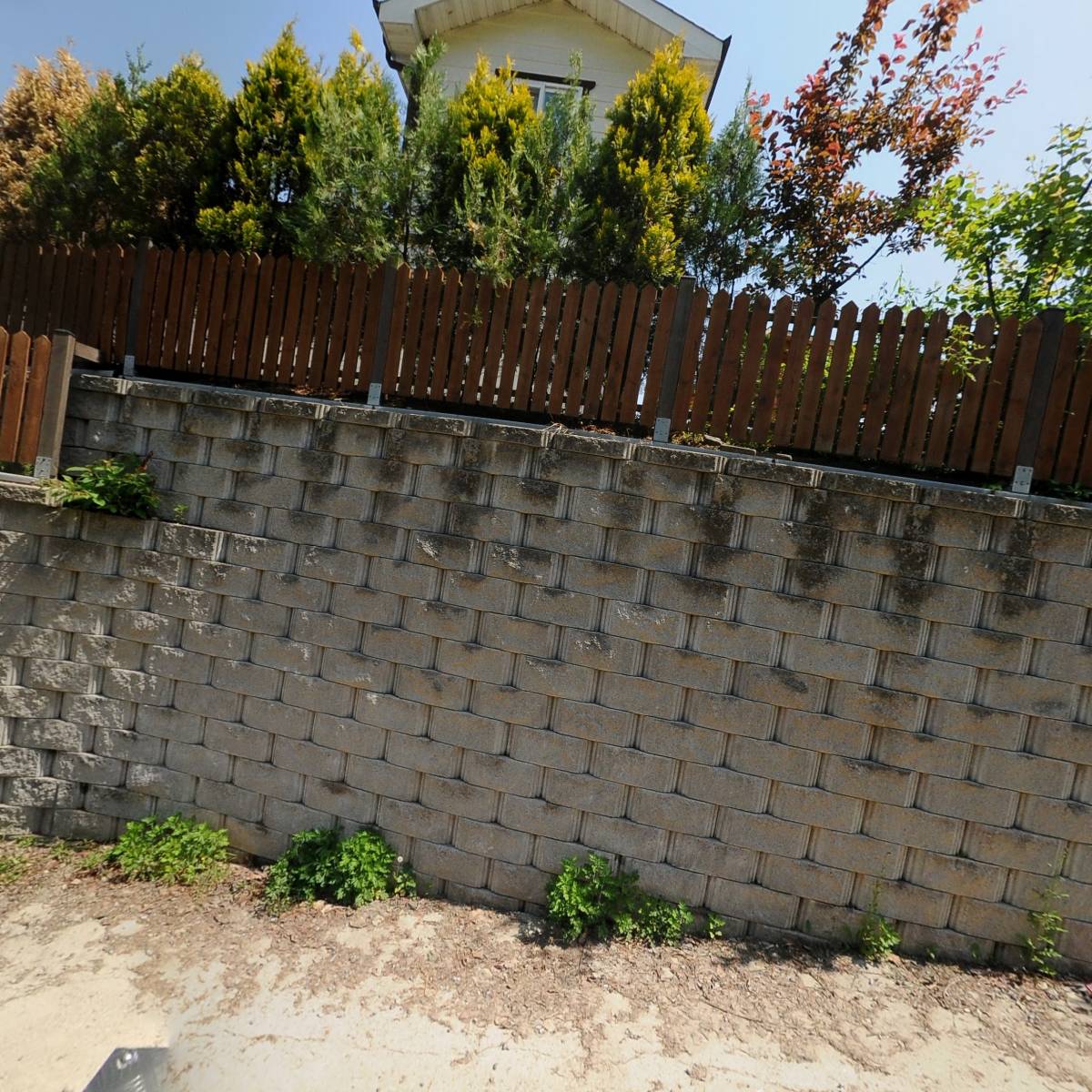 마이크로셀바이오(주)