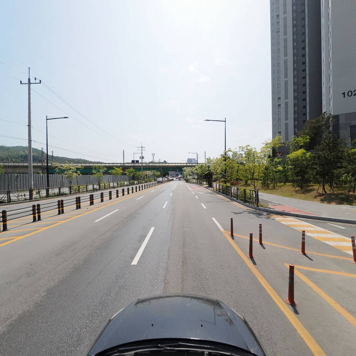 오크트리_4
