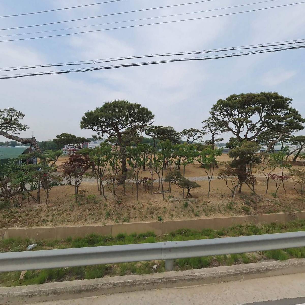 팥티오(PATIO)