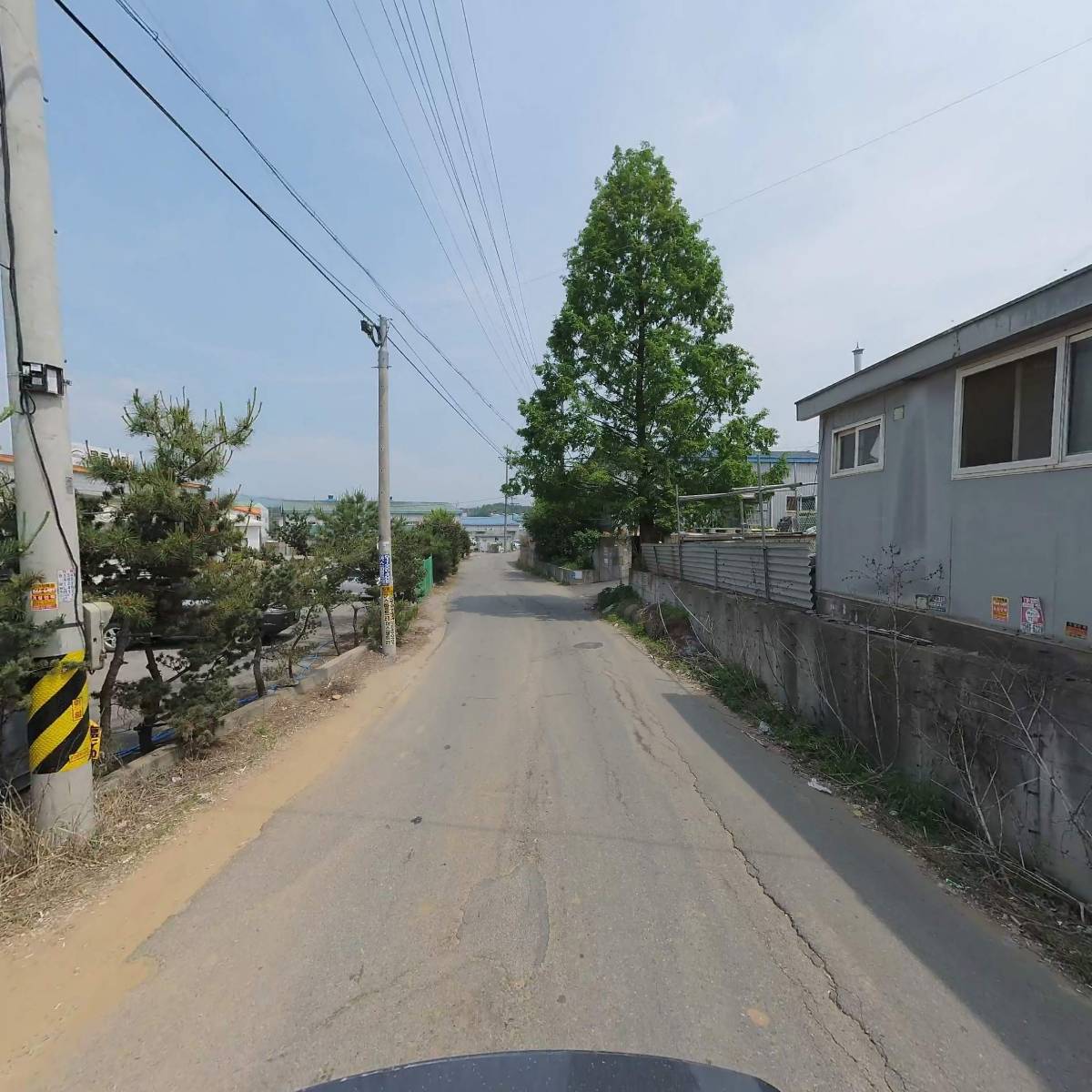 리스토어 안토니_2