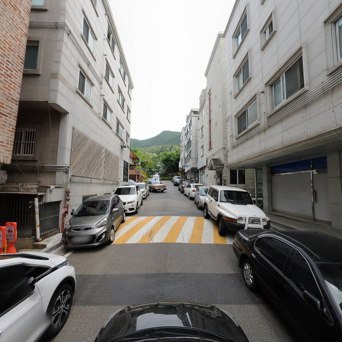 위더스펫_4