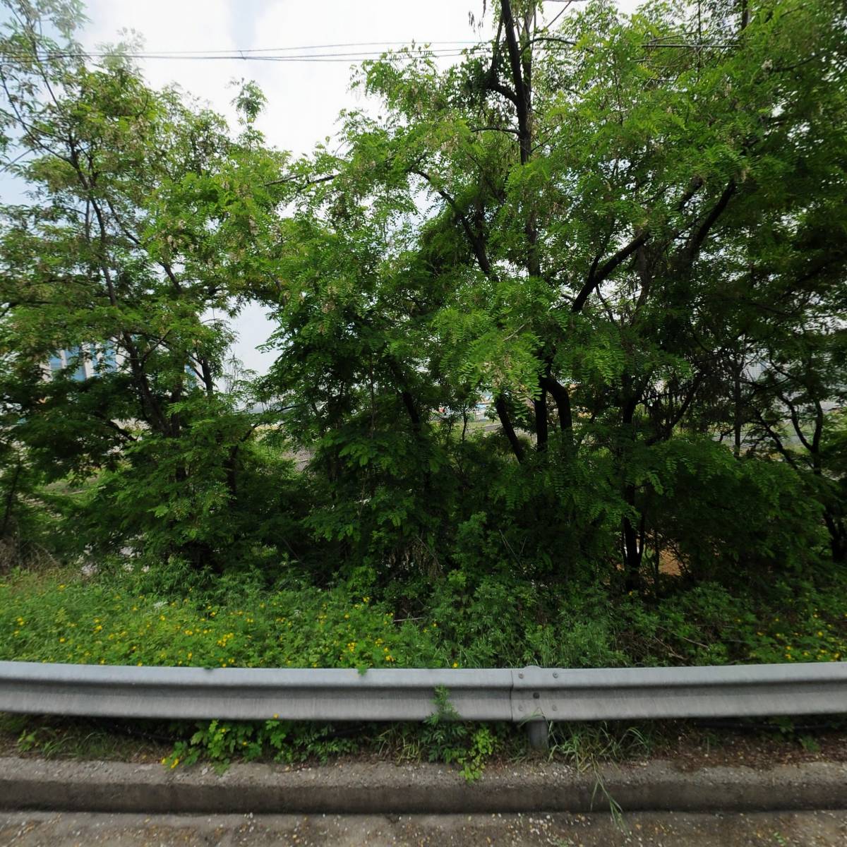 세광건설