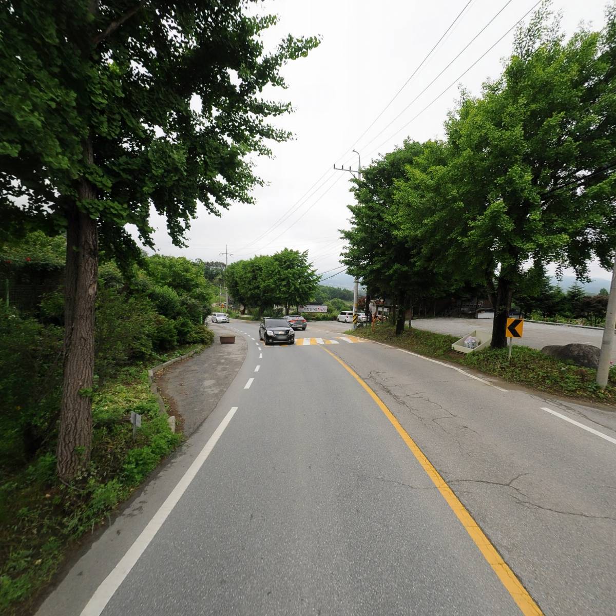 고등어사랑_2