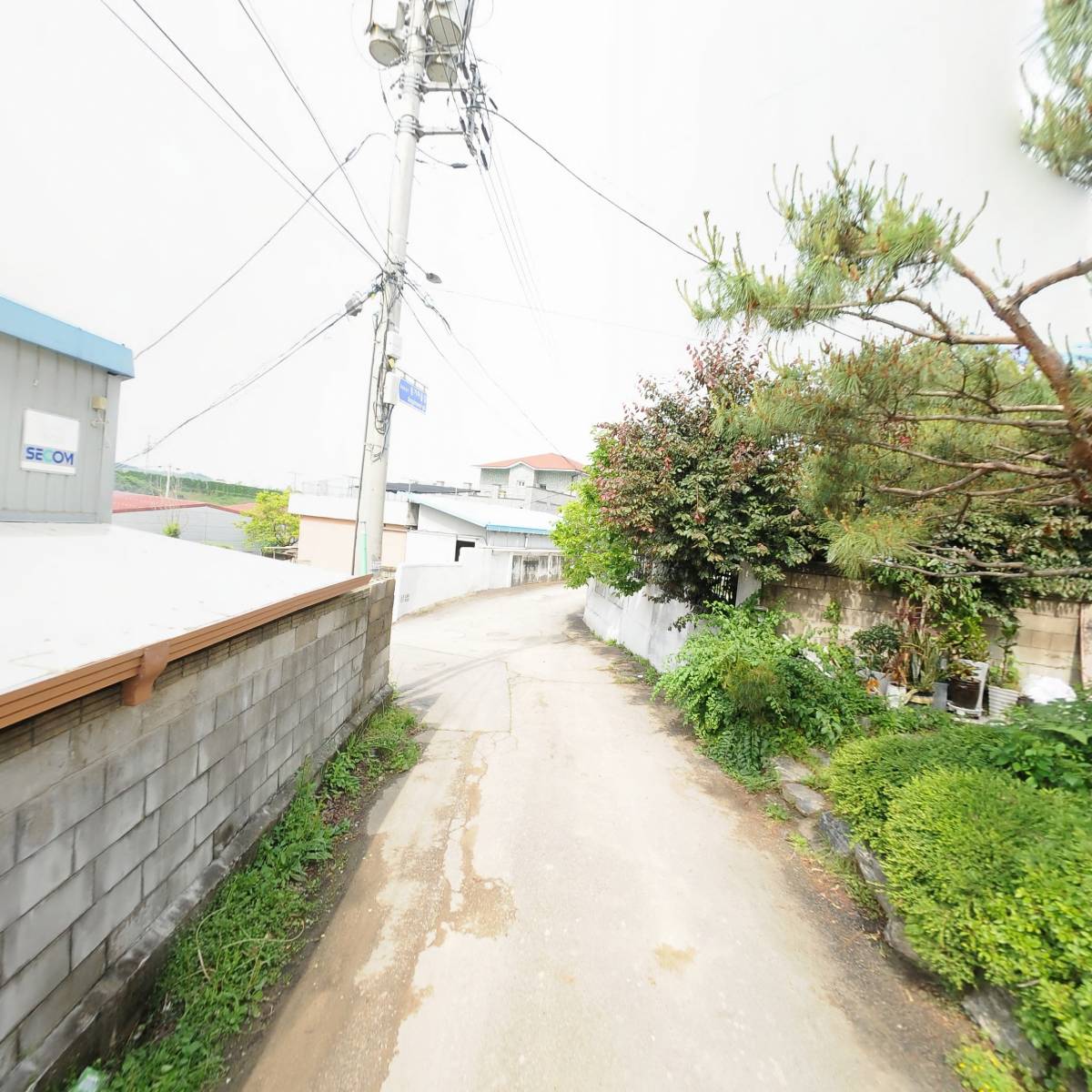 비즈온_2