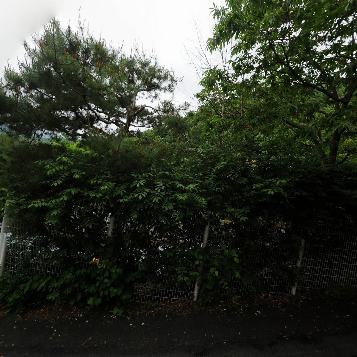 네스무역(주)_3