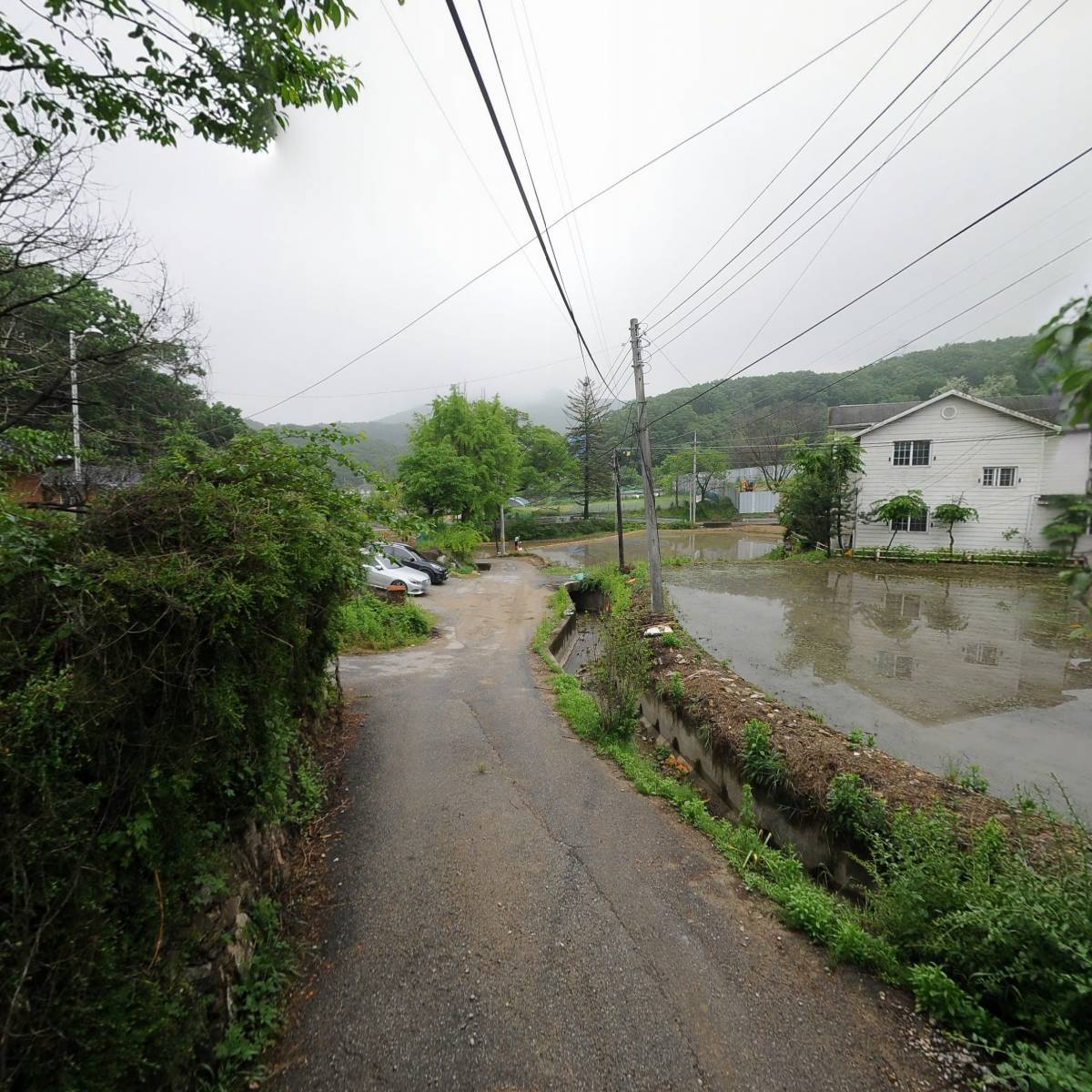 삼가동물류_2