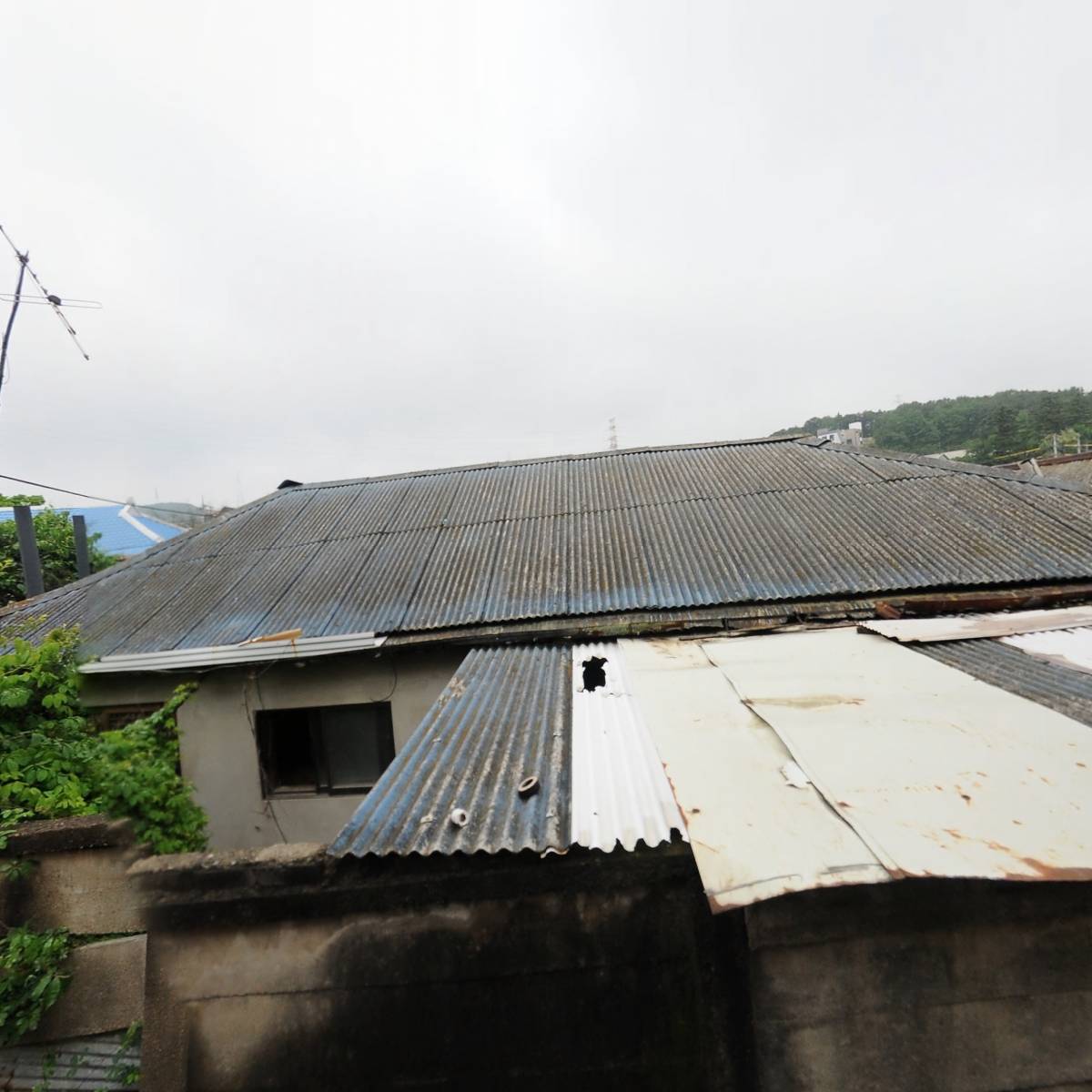 궁촌커피로스터즈_3