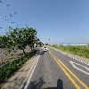 파파스파머_2