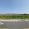 파파스파머_3