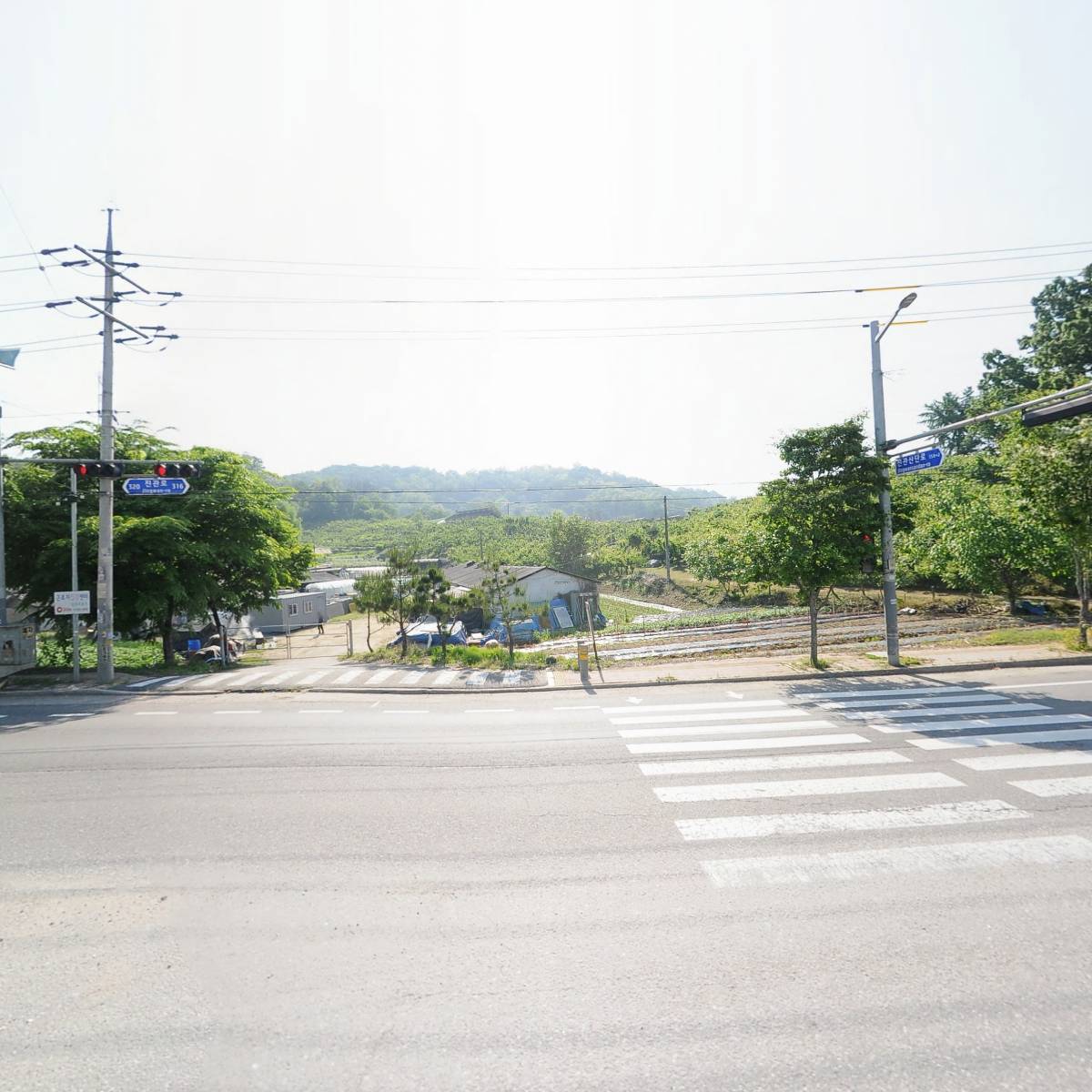 러브유피쉬_3