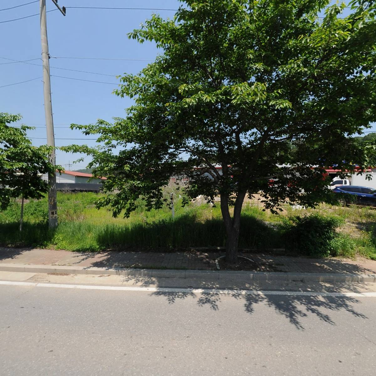 춘광 목재