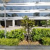삼성화재안산총괄(주)