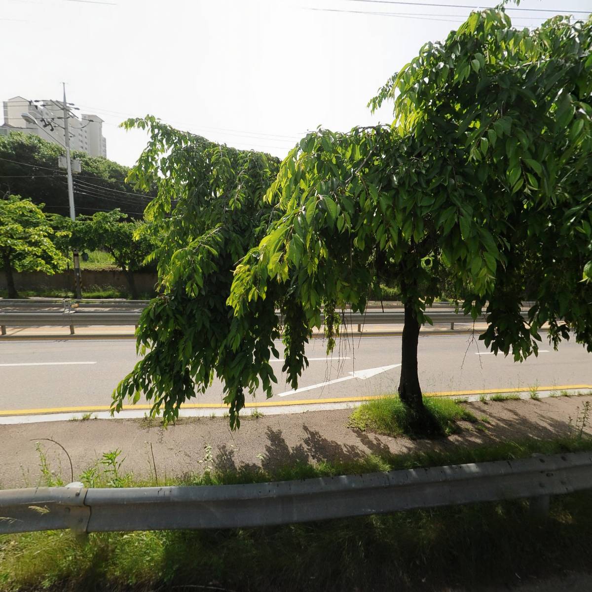 대주냉동산업_3