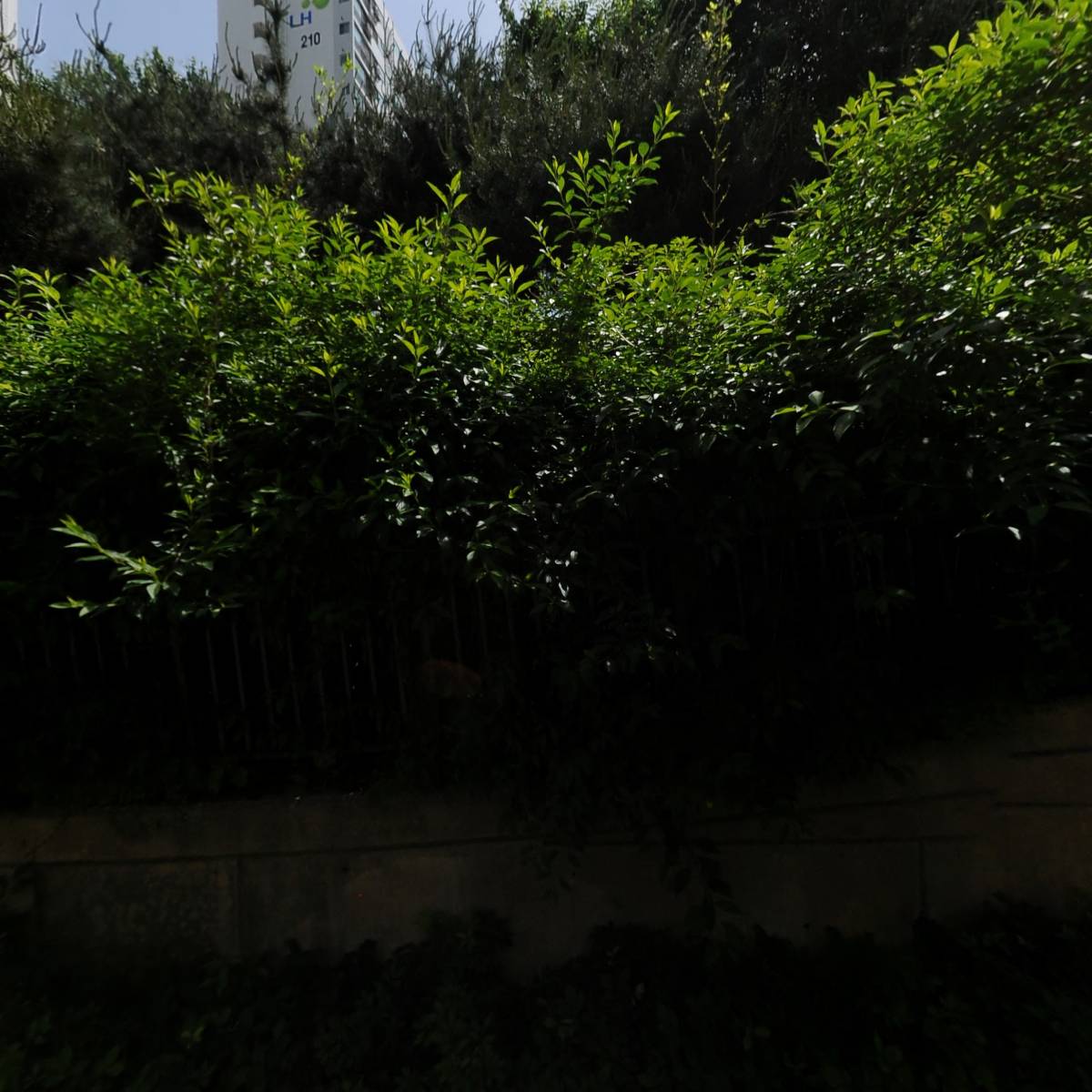 언타이디(untidy)_3