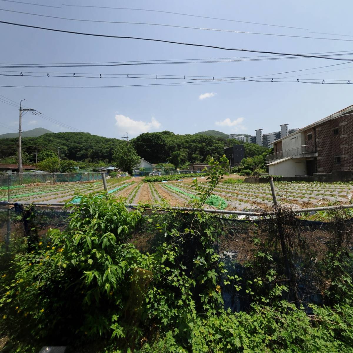 애플기업경영컨설팅 주식회사