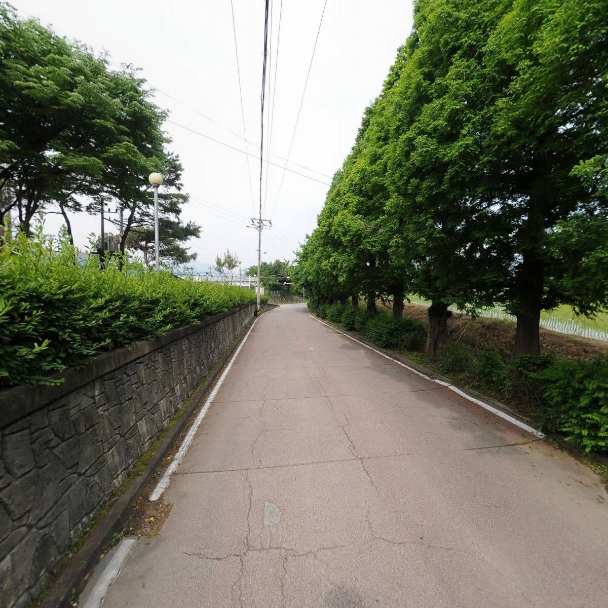 디아이세라주식회사_2