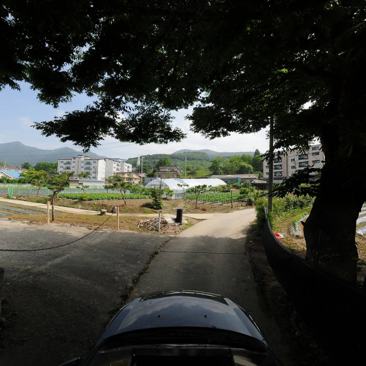 명장기전_4