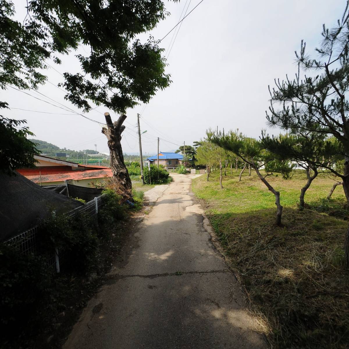 명장기전_2