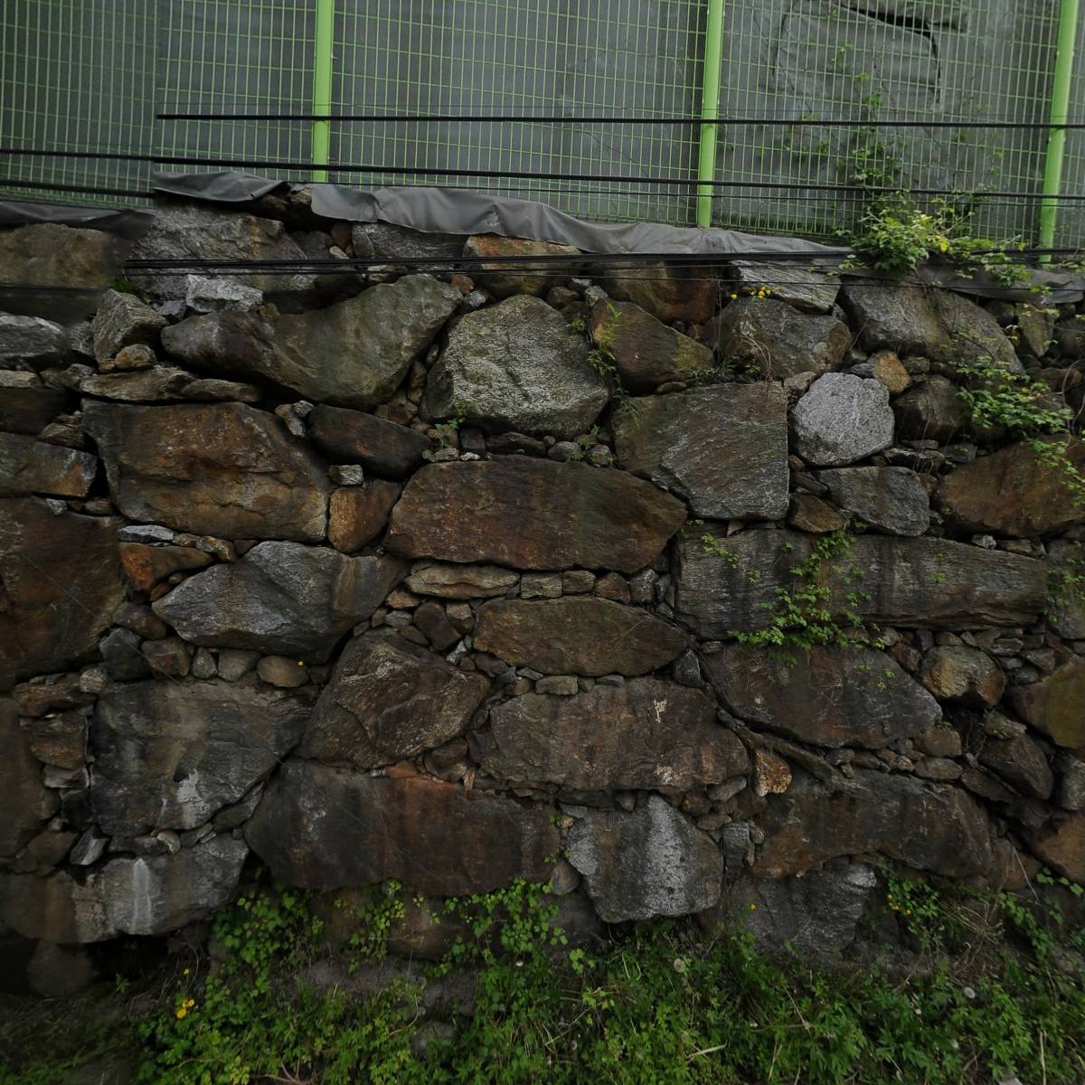 (주)우진에스엔에프(우진S&F)