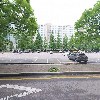 룩스파리_3