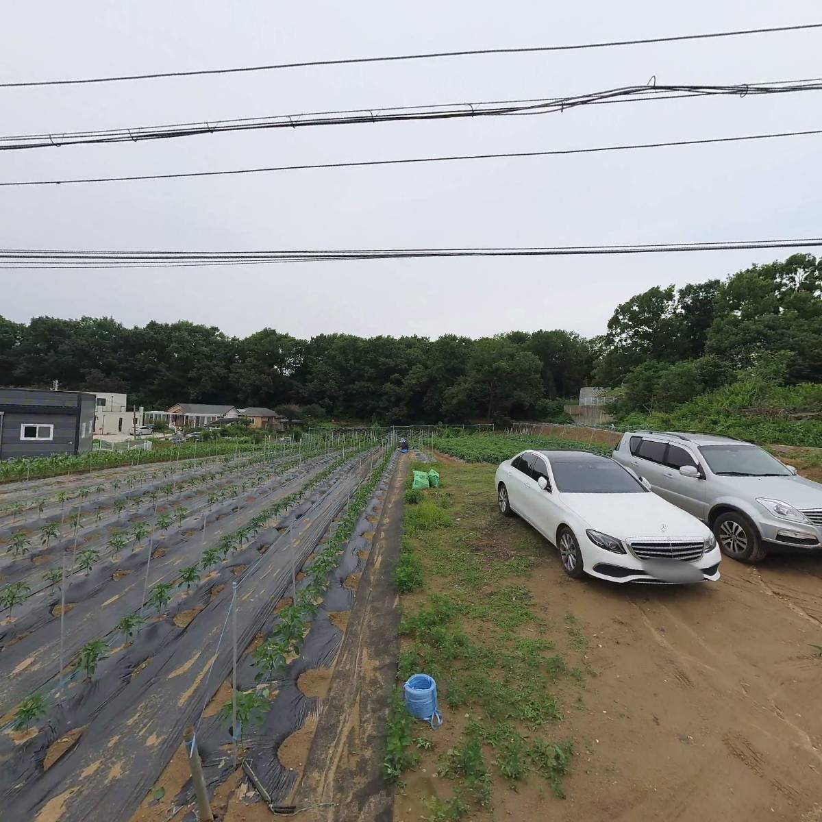 영푸드