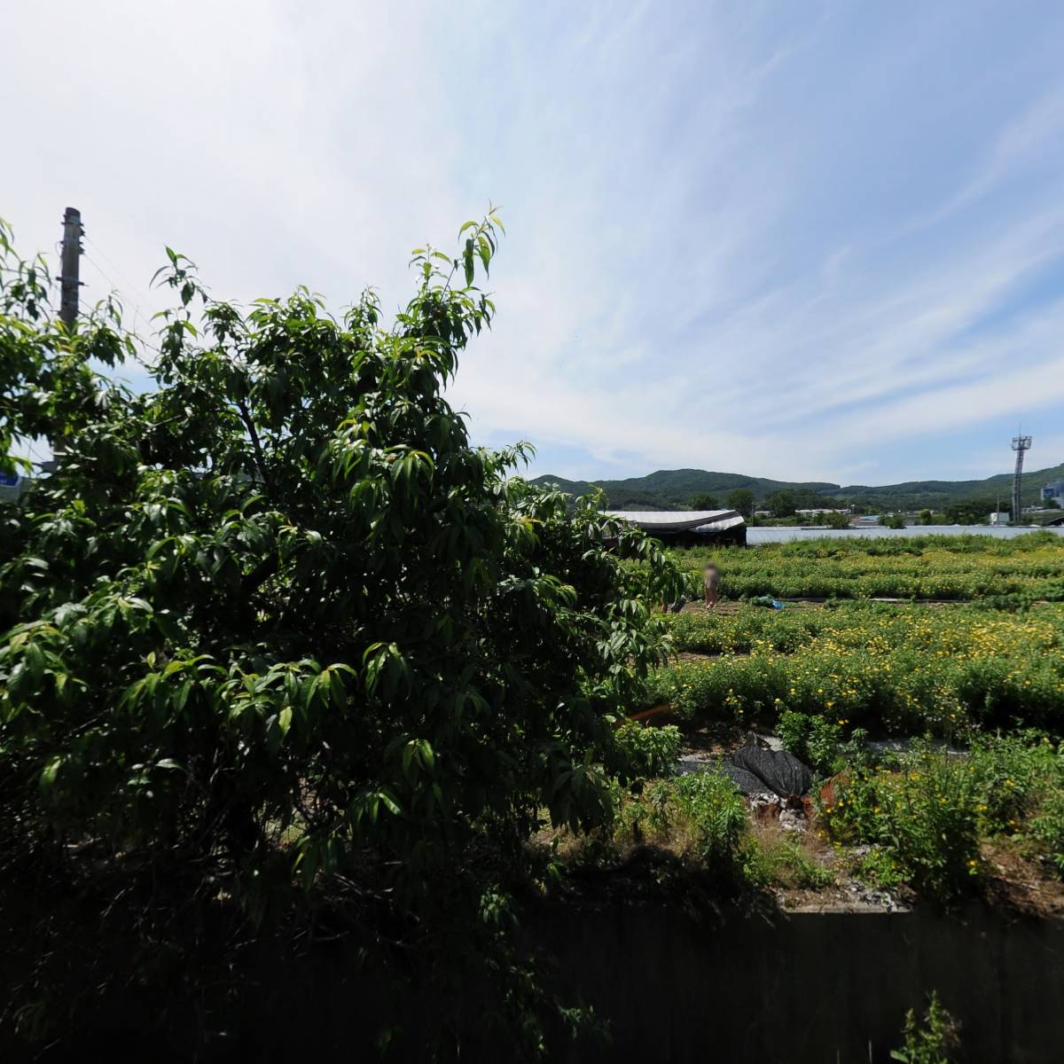 (주)티모산_3