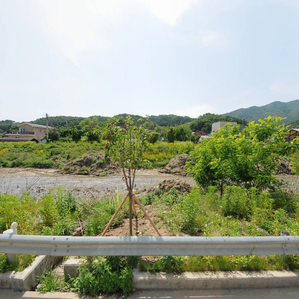 대아초등학교