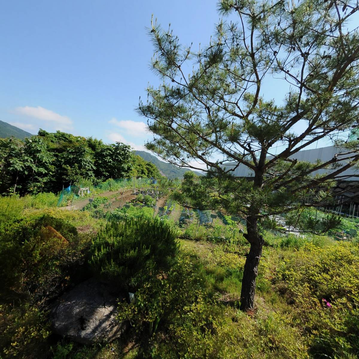 비바뮤직엔터테인먼트