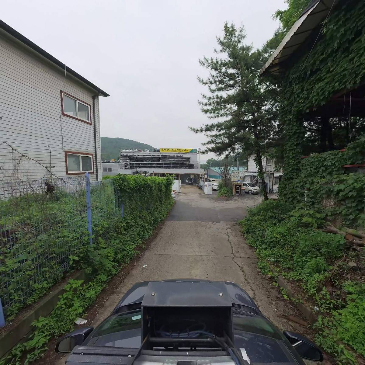 이미자닭한마리_4
