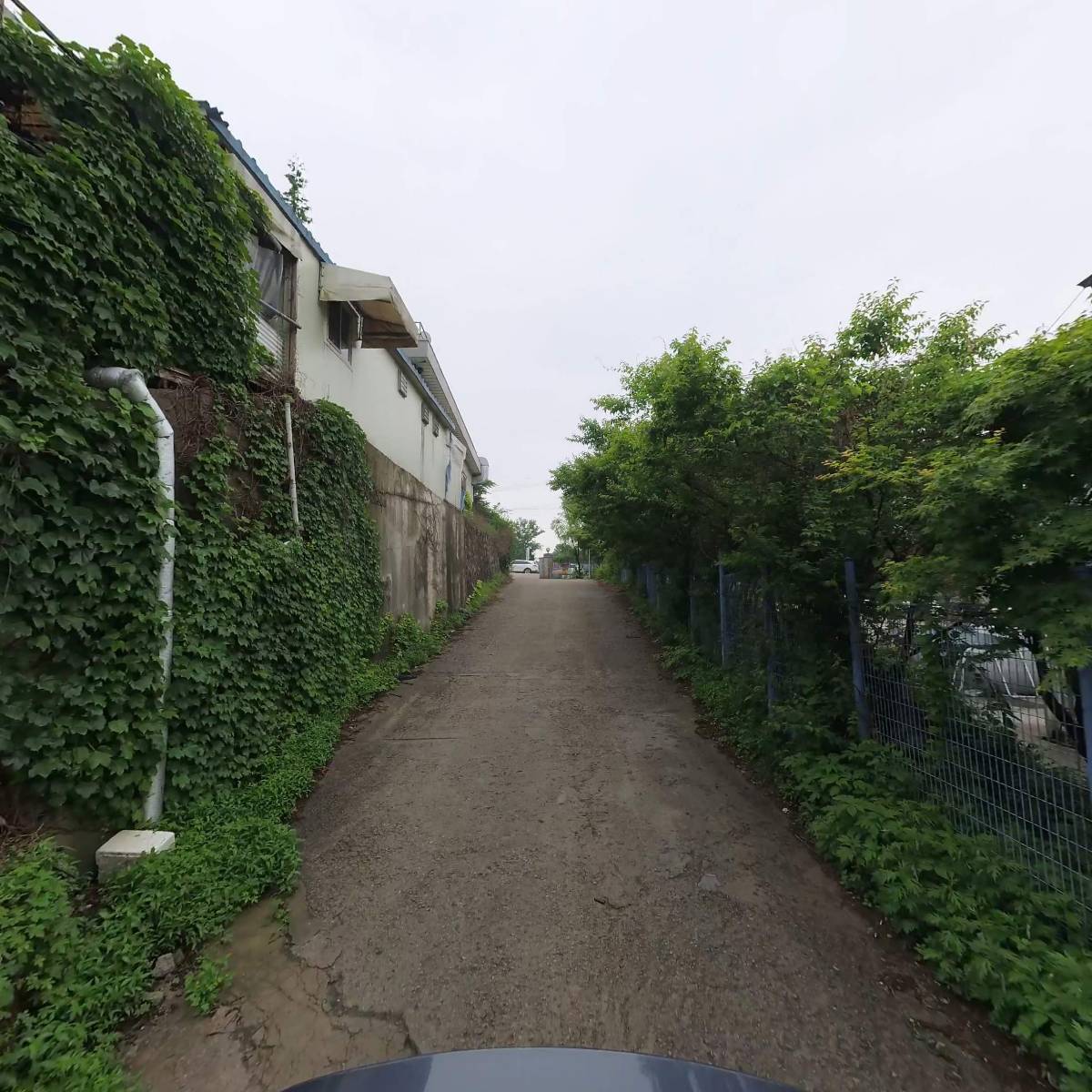 이미자닭한마리_2