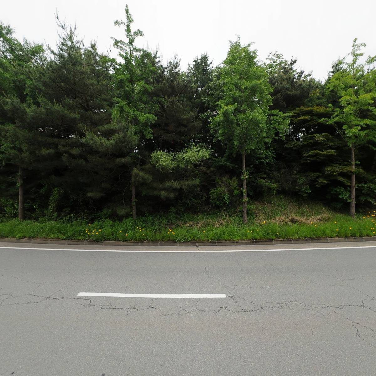 주식회사 초롱_3