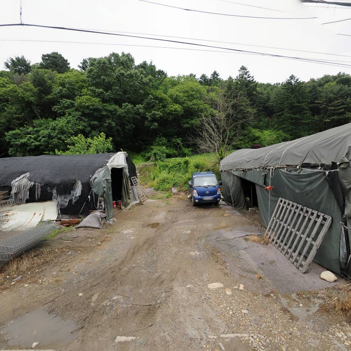 (주) 디인시스템