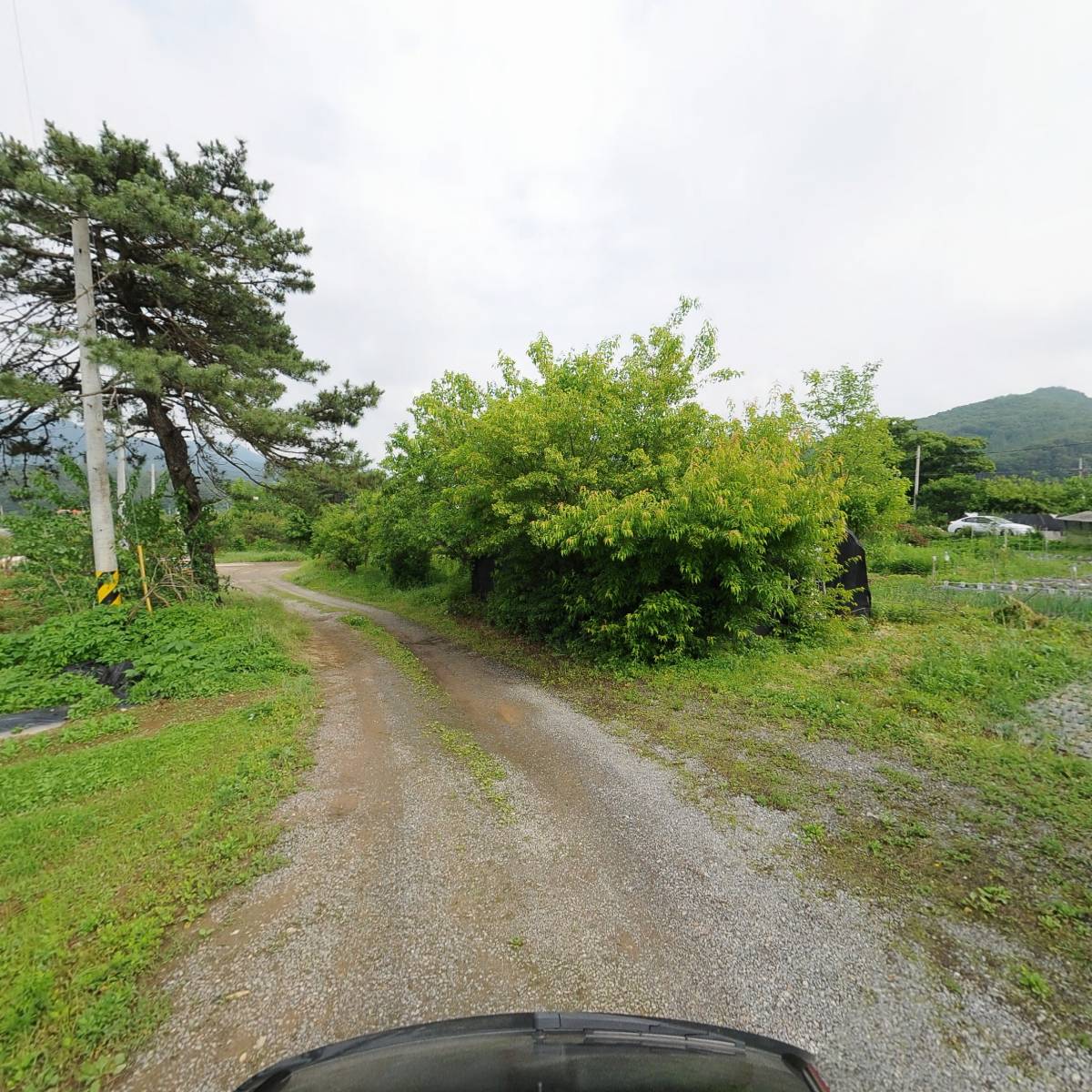 농업회사법인 주식회사 선유_2